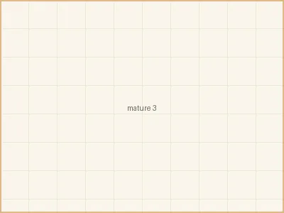 人妻 - 一个人的咖啡时光 - 享受独处的美好